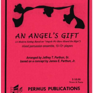 AN ANGEL'S GIFT